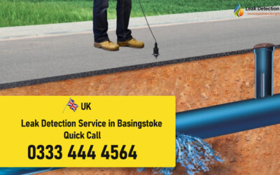 Leak Detection in Basingstoke: Minimize Damage Efficient Service