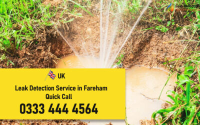 Trust Leak Detection Fareham : Water Leak Worries