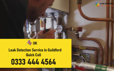 Leak Detection Guildford Avoid Costly Damage: Why Timely
