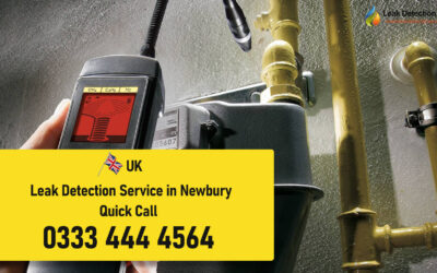 Expert Leak Detection Newbury: Your Trusted Water System Solution