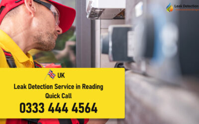 Leak Detection Reading: Guaranteed Problem Detection